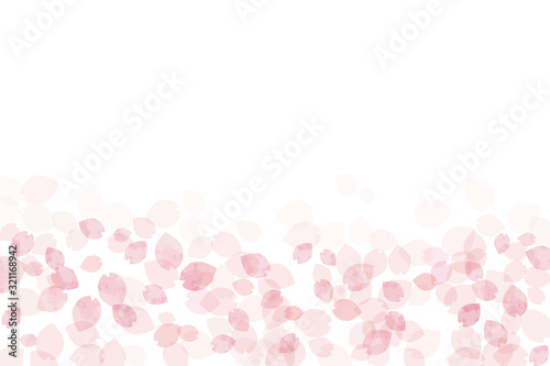 桜の絨毯、春風（横から）