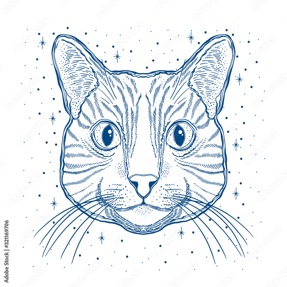 Obraz premium Mystic magic cat. Portrait face head hand drawn vintage style.Line art ink painting.Graphic design tatoo.
