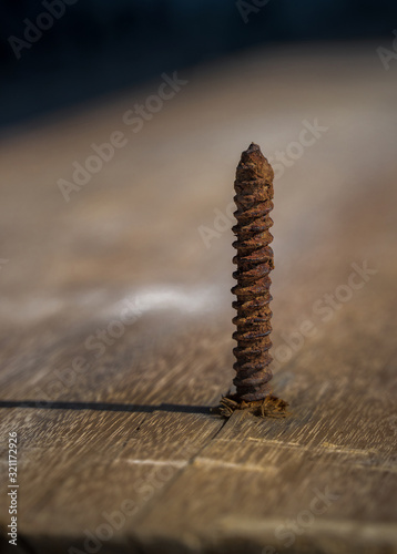 Rusty Screw Protrudes through floor planks