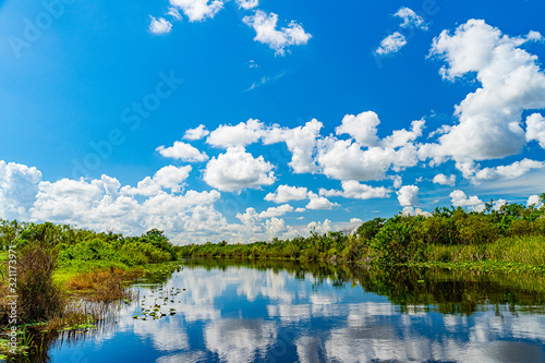 Everglades wetland in Florida, Everglades and Francis S. Taylor Wildlife Management Area photo