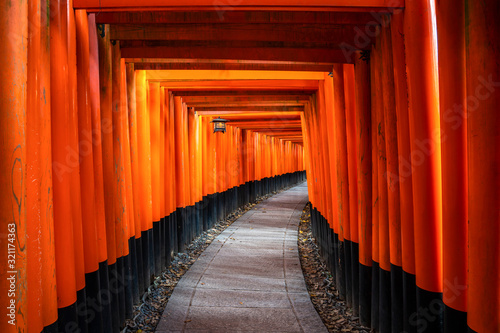 Thousand of red  torii gates along walkway in fushimi inari taisha temple is Important Shinto shrine and located in kyoto japan. Japan tourism  nature life  or landscape most visited tourist.