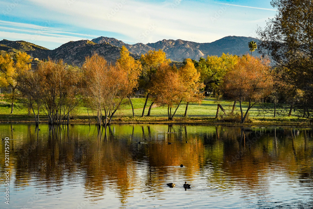 Fototapeta premium The Greens and Yellows of a California Winter Day