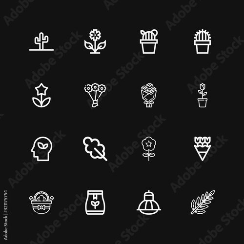 Editable 16 floral icons for web and mobile