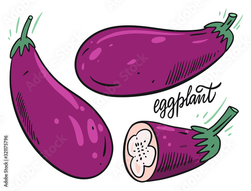 Whole and slice eggplant set. Hand drawn vector illustration in cartoon style. Isolated on white background.