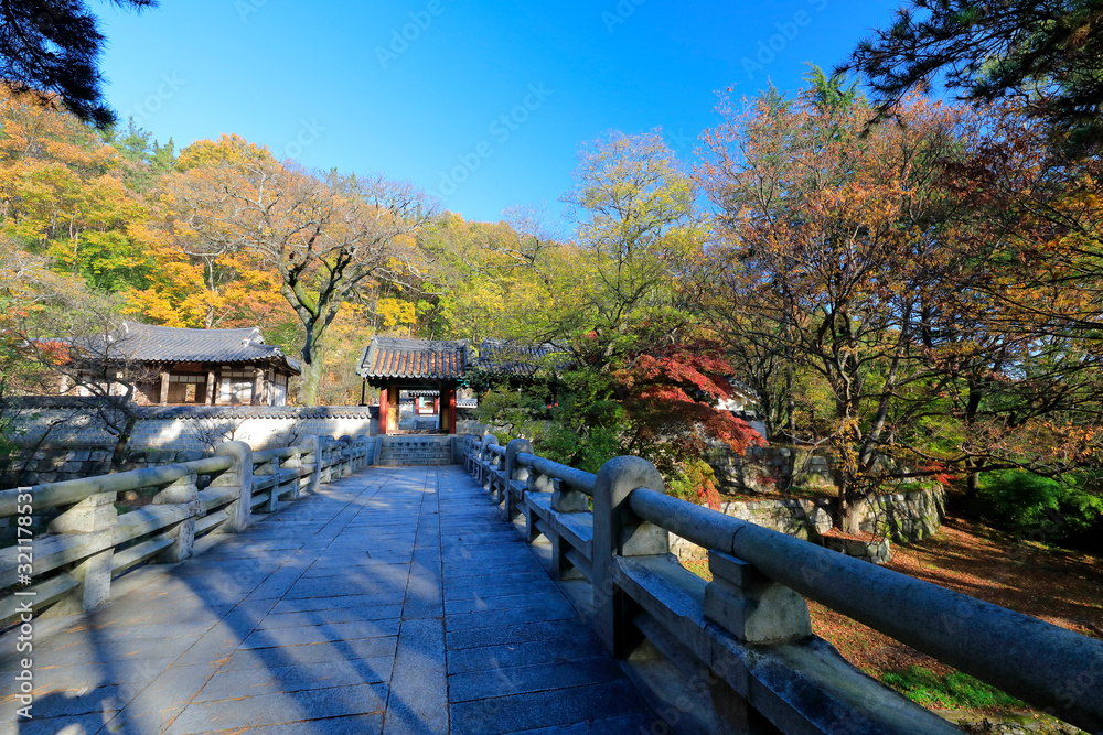 한국 전통 건축물이 보이는 아름다운 가을 풍경
