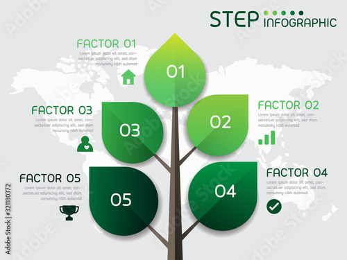 Green leafs shape elements with steps,options,processes or workflow.Business data visualization.Creative economy infographic template for presentation,vector illustration.
