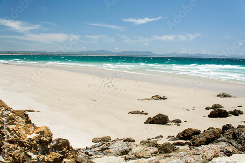 Fototapeta Naklejka Na Ścianę i Meble -  Tropical beach, Byron Bay Australia