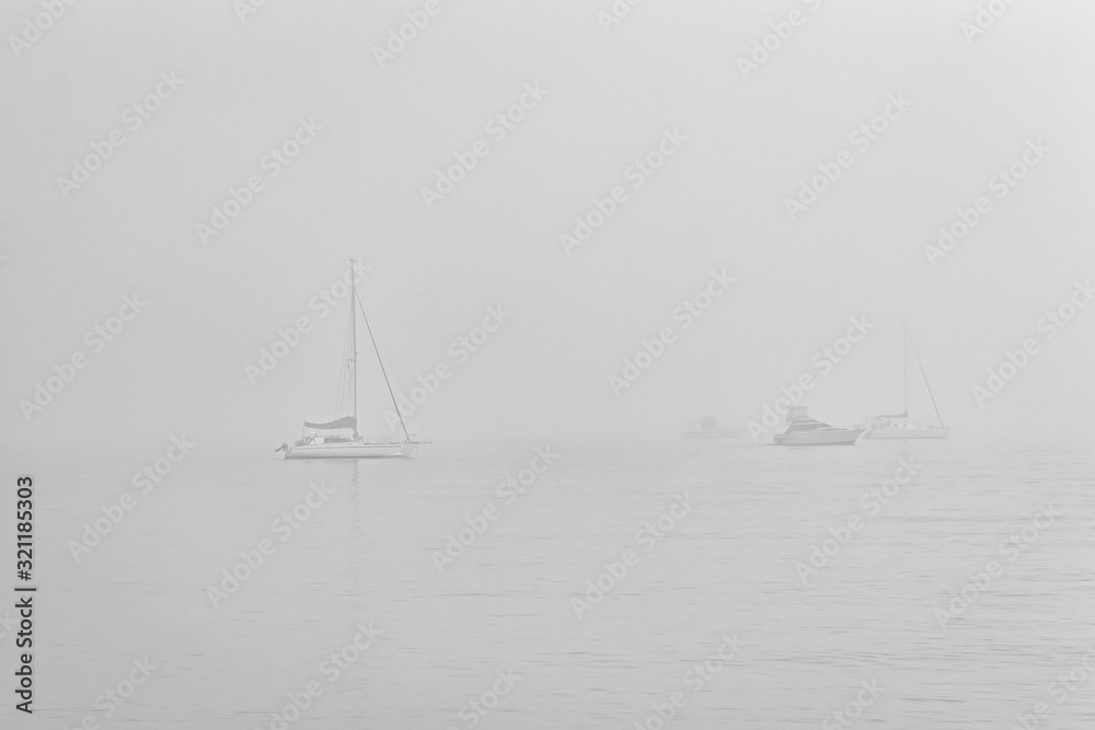 A misty morning on the bay