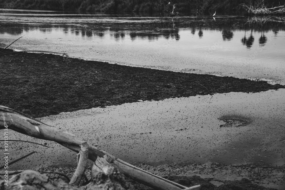 Fototapeta premium Muddy Water Texture Close up