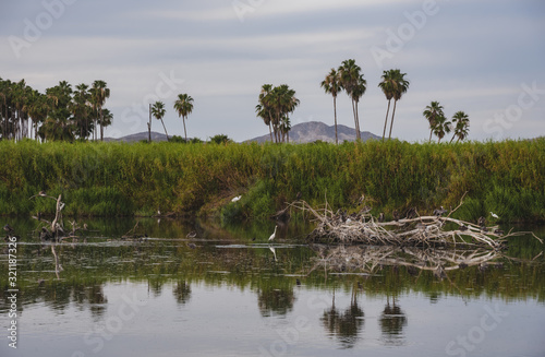 Saint Joseph of the Cape is the seat of Los Cabos Municipality, it's located at the end of the Baja California peninsula