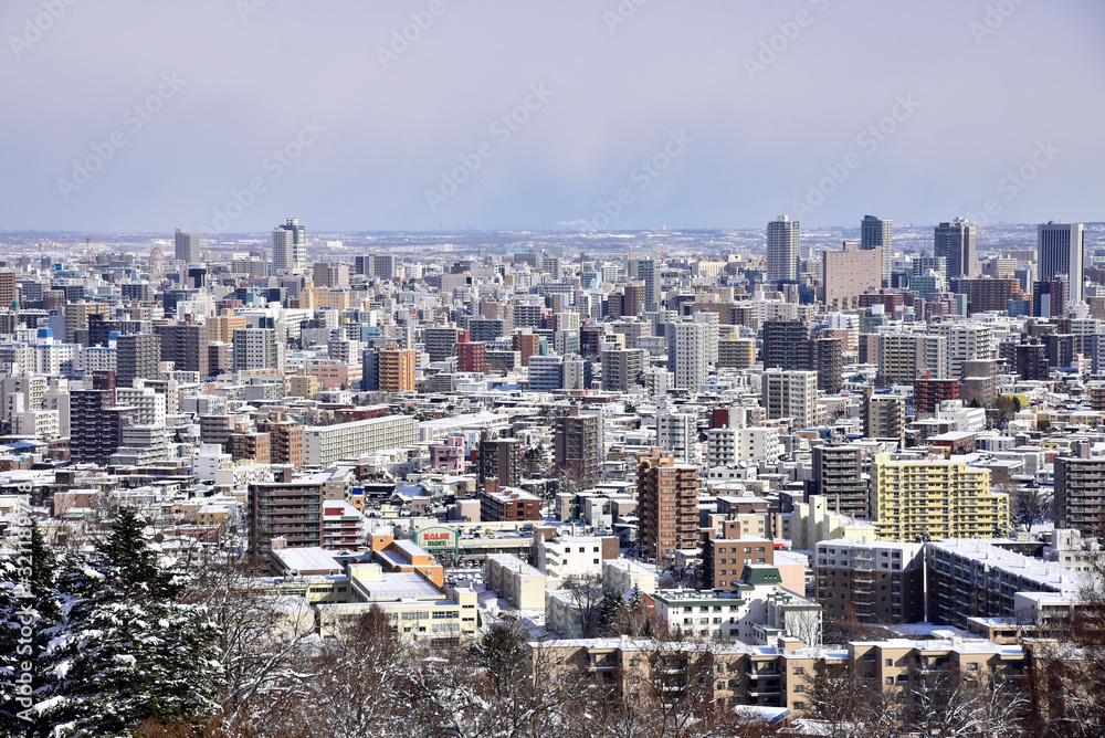 Sapporo cityscape in winter