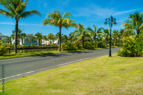 Road in vacation resort with green trees  grass and early sunlight