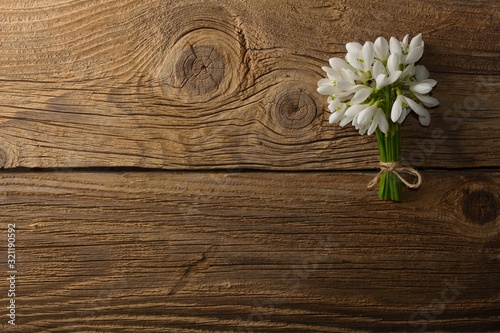 snowdrops bunch on wooden background