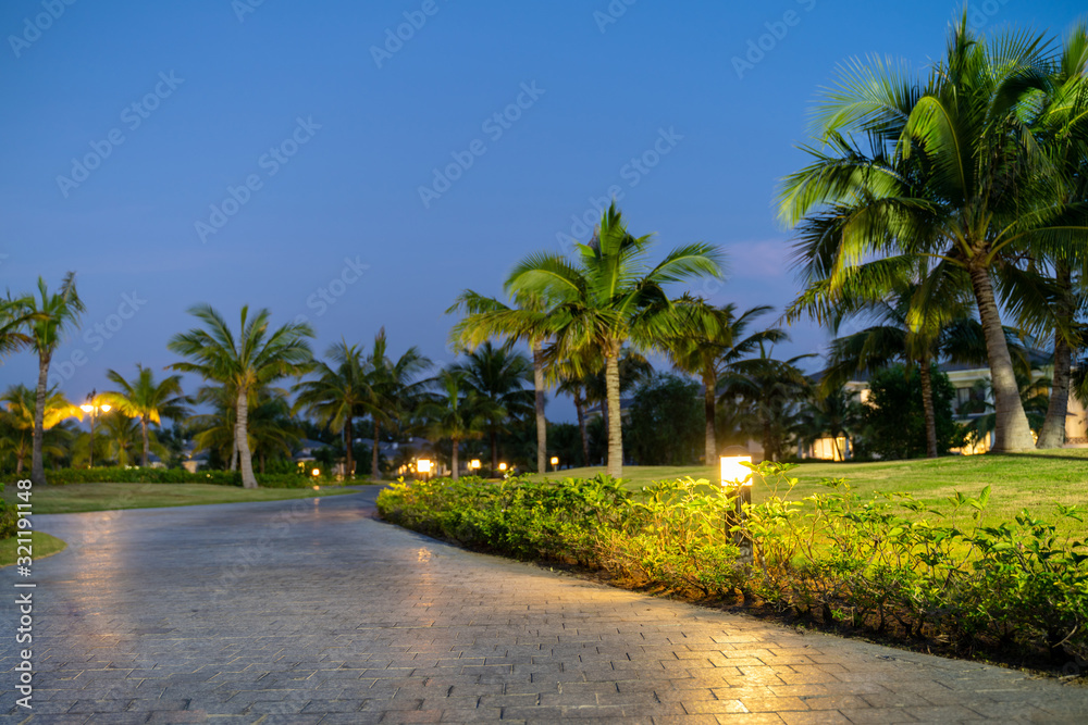 Illuminated light in resort park at night with palm trees on background Illuminated light in resort park at night with palm trees on background