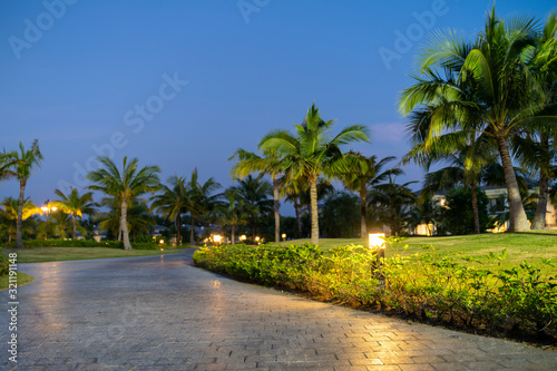 Fototapeta Naklejka Na Ścianę i Meble -  Illuminated light in resort park at night with palm trees on background