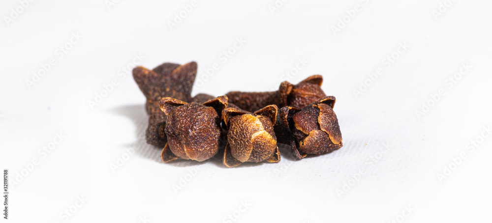 Spicy Clove isolated on white background - Dry cloves Spicy Clove isolated on white background - Dry cloves