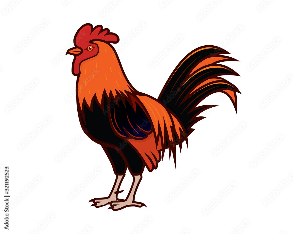 Detailed Rooster and Cock with Standing Gesture Illustration