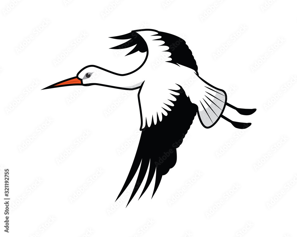 Fototapeta premium Detailed Flying Stork Illustration Vector