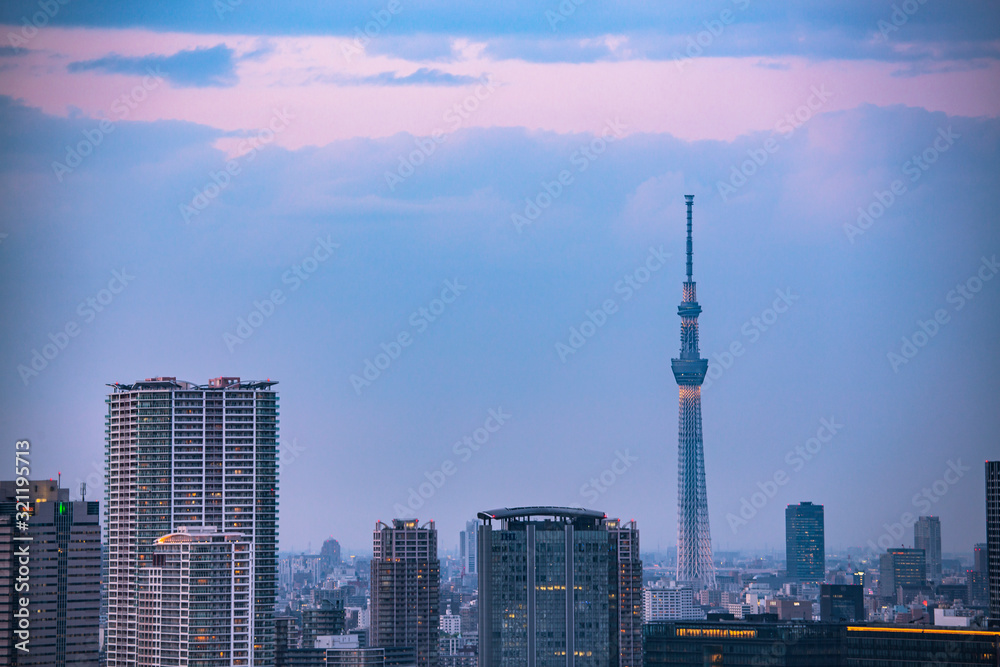 豊洲のビル群と東京スカイツリー　夕景