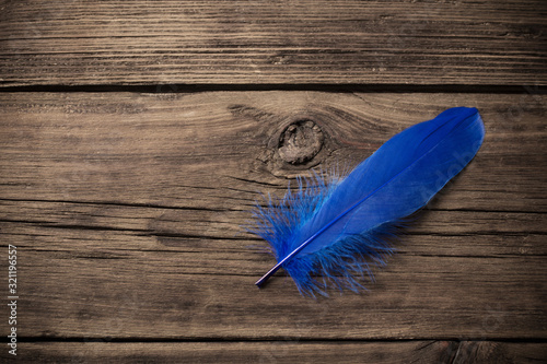 blue  feathers on old wooden background