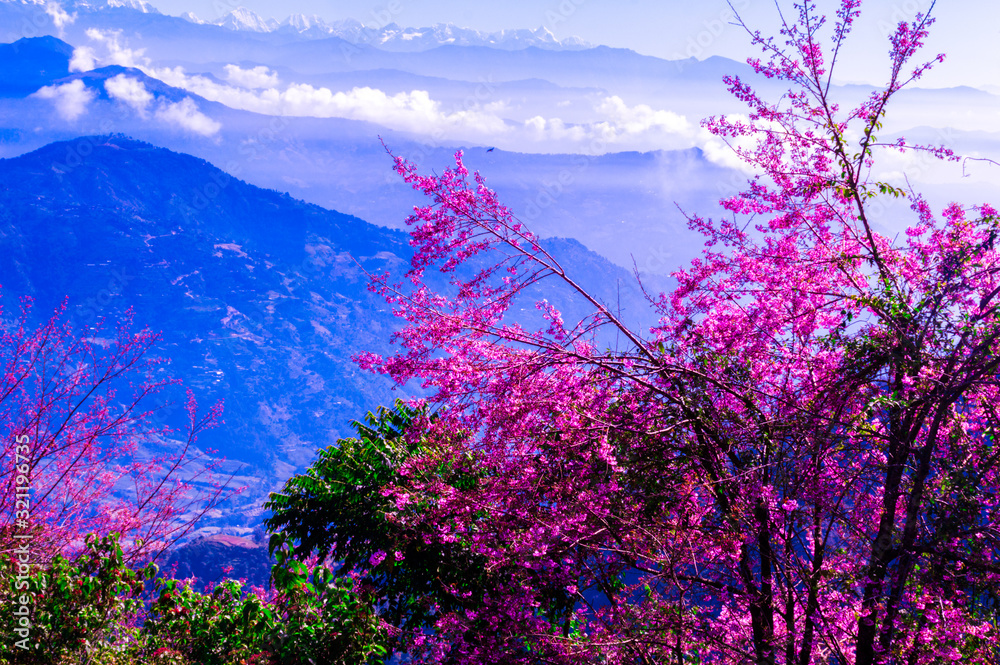 Beautiful landscapes with sunrise and snow Beautiful landscapes with sunrise and snow