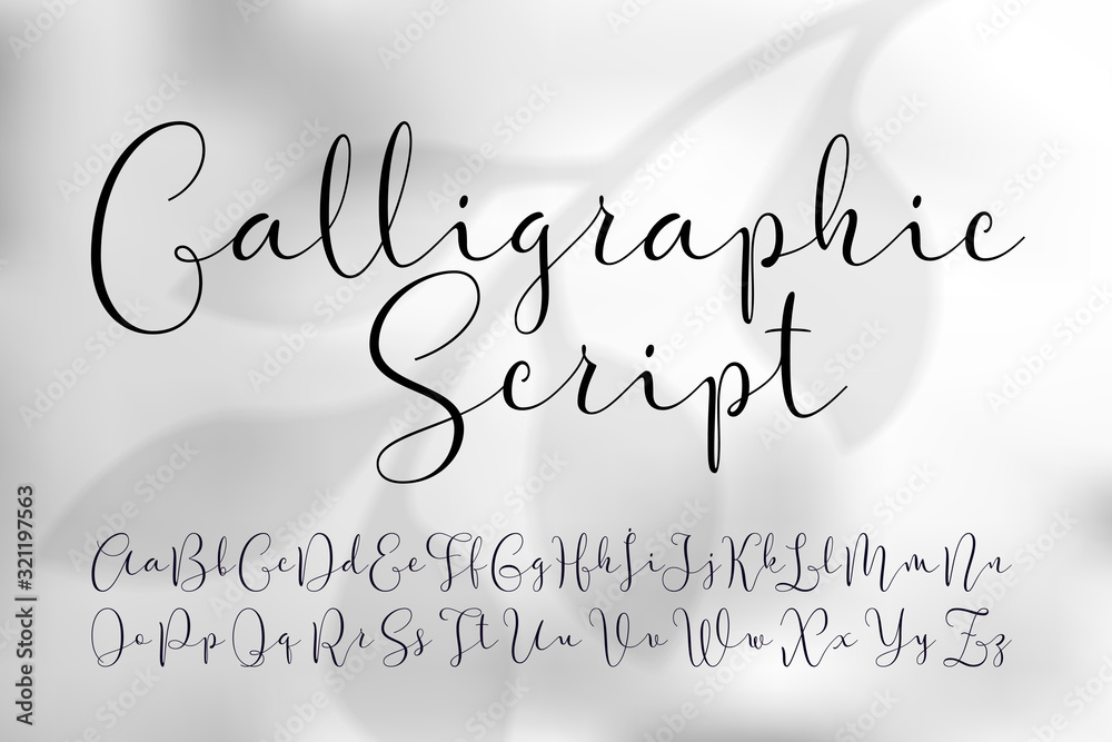 Vector calligraphic script font. Classic style handwritten typeface. On light grey foliage background - obrazy, fototapety, plakaty 