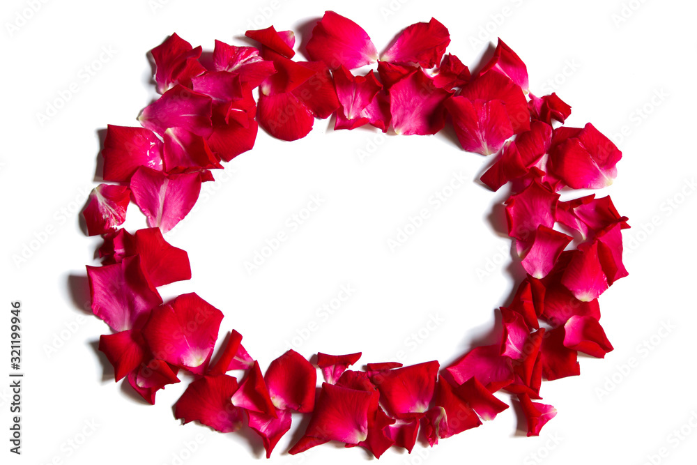 Red roses on a white background There is space to put text Red roses on a white background There is space to put text