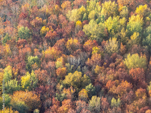 vue aérienne de la forêt à l'automne à Gamaches-en-Vexin dans l'Eure en France