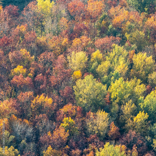 vue aérienne de la forêt à l'automne à Gamaches-en-Vexin dans l'Eure en France