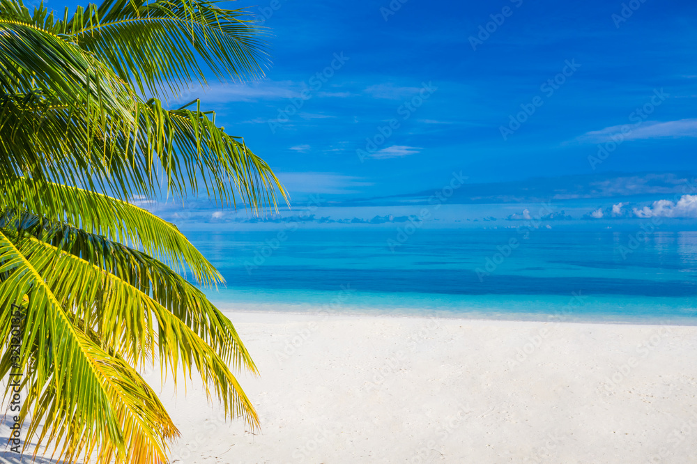 Tranquil beach view, palm leaves over white sand and blue sea. Amazing tropical landscape seascape for banner or wallpaper