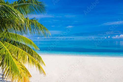 Tranquil beach view  palm leaves over white sand and blue sea. Amazing tropical landscape seascape for banner or wallpaper