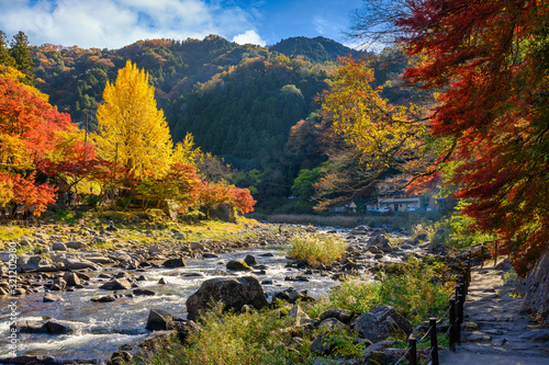 Korankei valley in autumn The leaves turn red is very beautiful. There are streams and red  Bridge Taigetsu a popular spot to see the changing leaves in Japan.