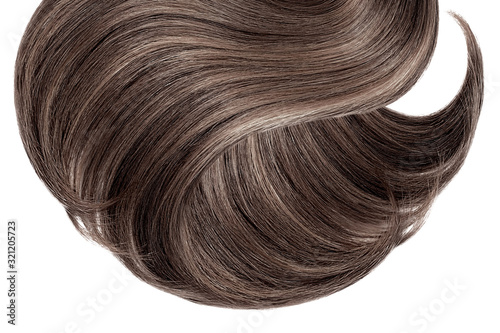 Brown hair isolated on white background. Long ponytail
