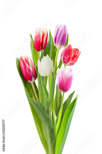 Fototapeta Naklejka Na Ścianę i Meble -  Spring tulip flowers isolated