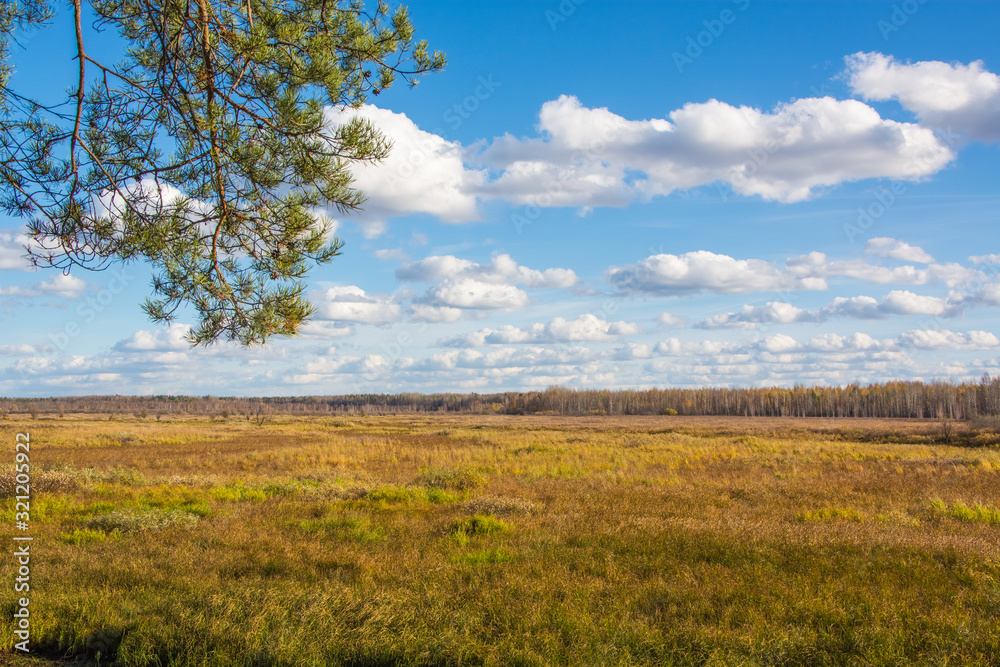 Large field with dry grass. Autumn landscape.