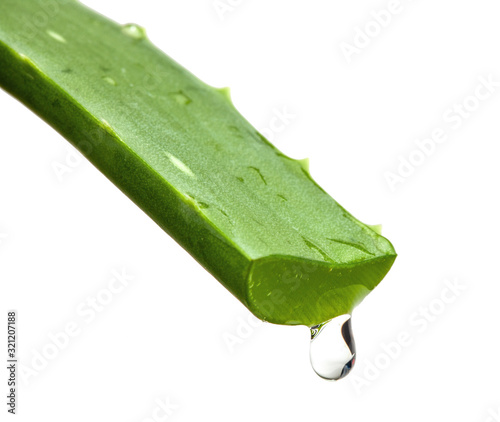 Aloe Vera drop isolated on a white background