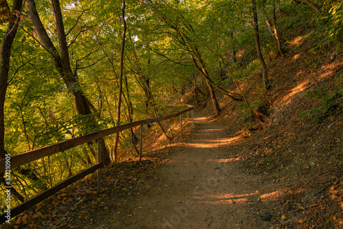 sunset vivid orange time in forest landscape environment hill land with ground lonely trail for peaceful walking in nature