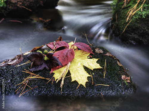 Hand made fall season bouquet still in cold water of stream © rdonar