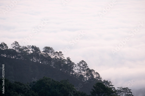 White mist Alternating with the mountain views at Doi Ang Khang Chiang Mai Province