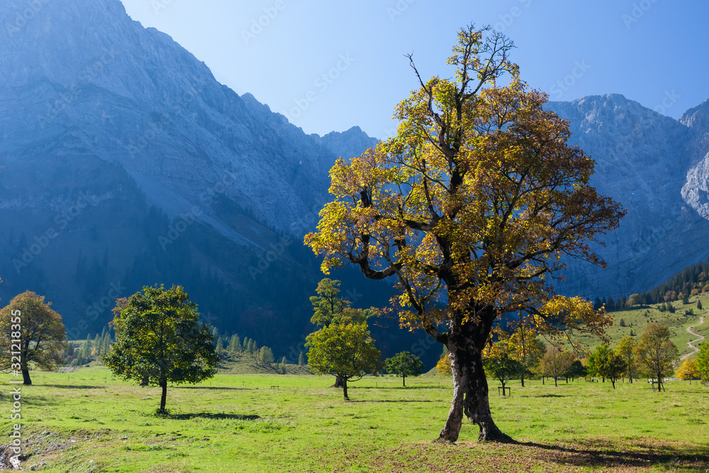 Goldener Herbst im Großer Ahornboden Goldener Herbst im Großer Ahornboden