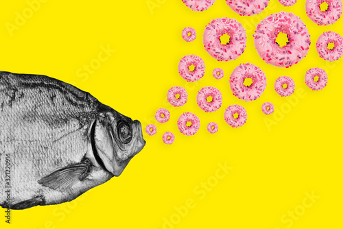 Concept fish and donuts on a colored background. Modern art collage.