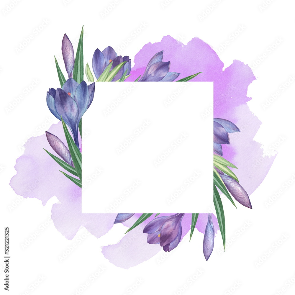Crocus 6. Watercolor Floral frame. Watercolor illustration. Hand-drawing. Isolated on white