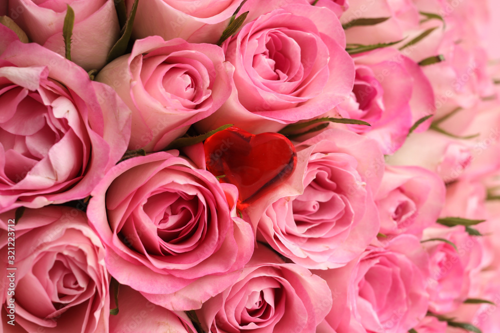 Pink roses solid background and red heart Pink roses solid background and red heart