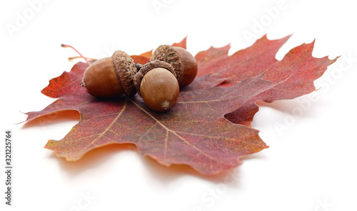 Three acorns on a brown leaf.