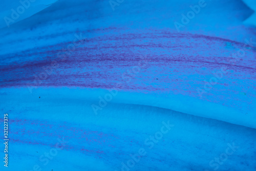 abstract background classic blue
