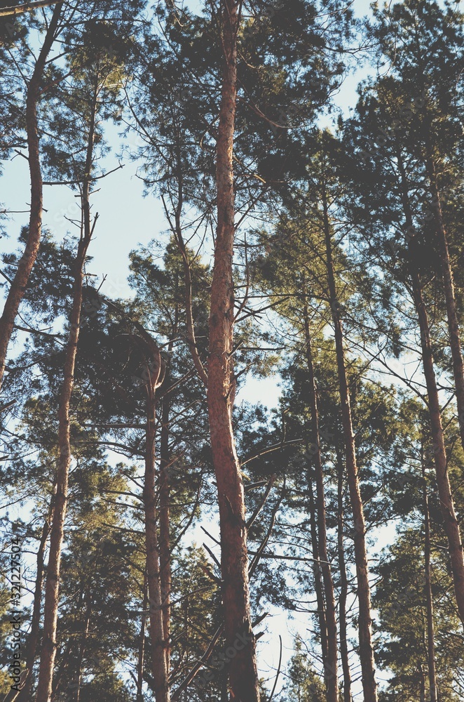 Processed with VSCO with t1 preset Processed with VSCO with t1 preset