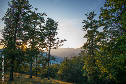 a beautiful mountain landscape at sunset. The sun descends behind the trees. A gorgeous light