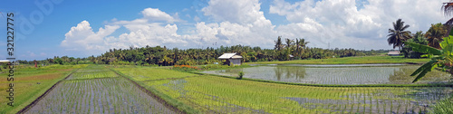 Panorama from rice fields on Bali Indonesia