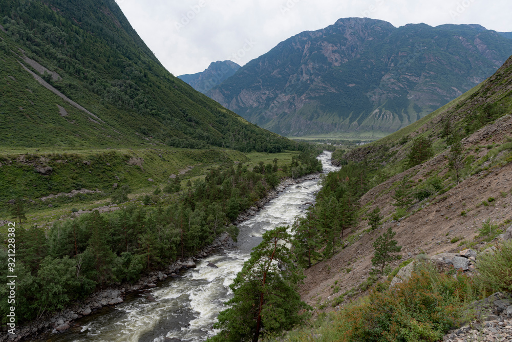 River in the Altai mountains