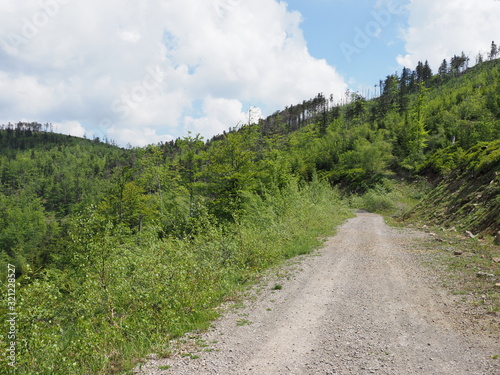 Path at Silesian Beskids Mountains range near Salmopol pass, Poland